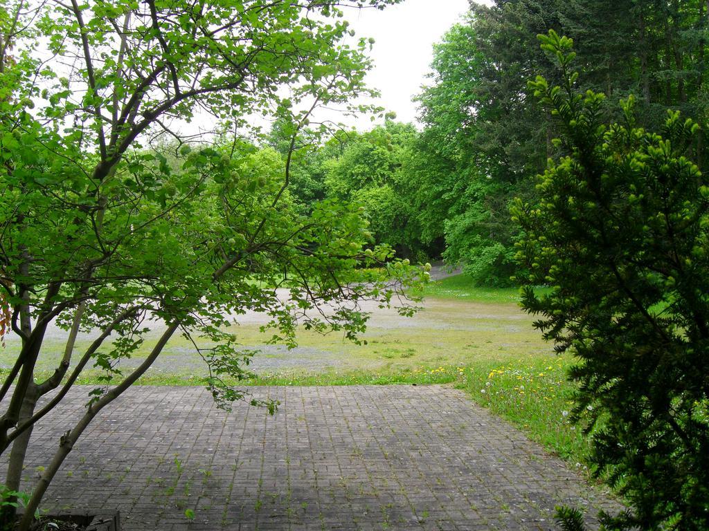 Motel Zur Festwiese Gierstädt Екстериор снимка